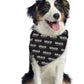 Dog Bandana