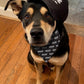 Dog Bandana